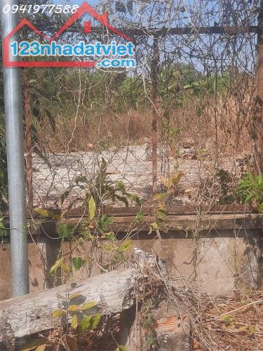 Đất nền full thổ cư xã Phú Ngọc, Định Quán, ĐN. Giá chỉ 90tr/m ngang, giá rẻ nhất khu vực - 4