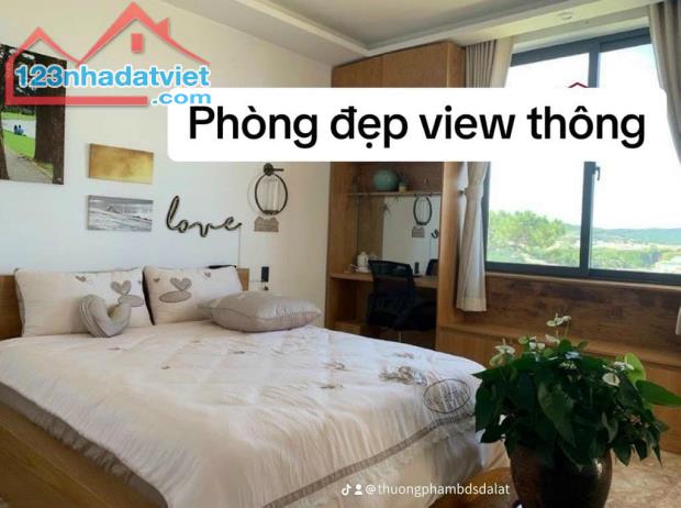 Bán khách sạn mini cực mới view Thông ngay trung tâm Đà Lạt - 1