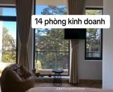 Bán khách sạn mini cực mới view Thông ngay trung tâm Đà Lạt