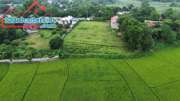 Bán đất nghỉ dưỡng view cánh đồng xanh mướt 2000m 100m thổ cư Liên Sơn Lương Sơn Hòa Bình