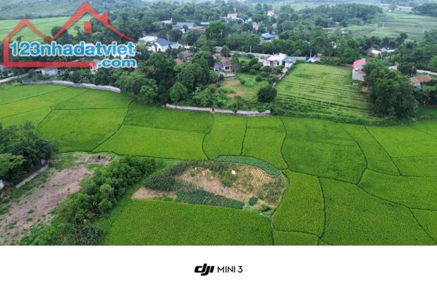 Bán đất nghỉ dưỡng view cánh đồng xanh mướt 2000m 100m thổ cư Liên Sơn Lương Sơn Hòa Bình - 3