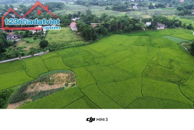 Bán đất nghỉ dưỡng view cánh đồng xanh mướt 2000m 100m thổ cư Liên Sơn Lương Sơn Hòa Bình - 4