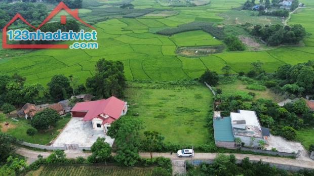 Bán đất nghỉ dưỡng view cánh đồng xanh mướt 2000m 100m thổ cư Liên Sơn Lương Sơn Hòa Bình - 5