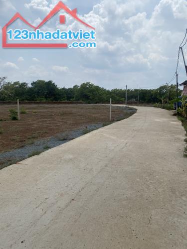 Bán đất thổ cư 195tr Sổ Riêng 200m2 Sát Chợ TX Bình Long,Bình Phước - 1