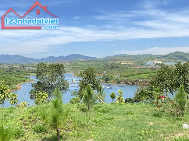 Siêu phẩm nghỉ dưỡng view hồ Bảo Lộc! Bán đất view hồ mai thành Lộc Tiến Bảo Lộc