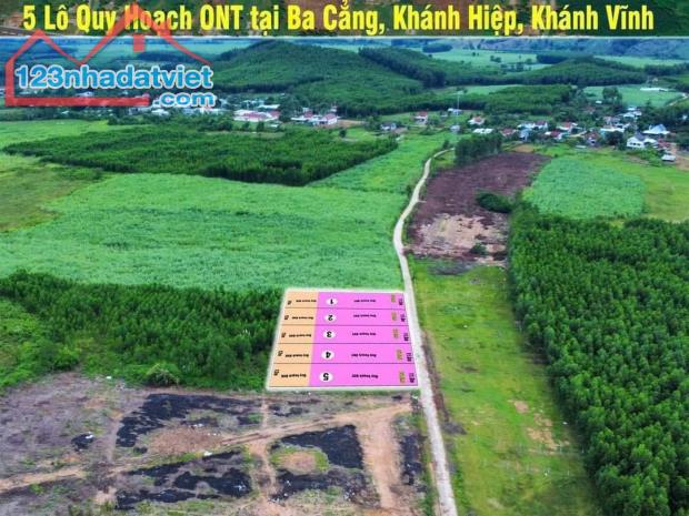 Bán đất vườn Khánh Hiệp giá rẻ phù hợp quy hoạch thổ cư gần Tỉnh Lộ 8C - 3