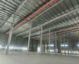 Cần cho thuê gấp xưởng đẹp có đủ phòng cháy tại KCN Thăng Long 3, Bình Xuyên, Vĩnh Phúc.