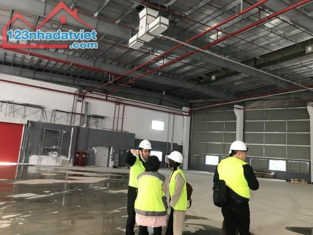 Mời thuê nhà xưởng 3.000m2 Khu CN Yên Phong – Bắc Ninh, PCCC tự động - 2