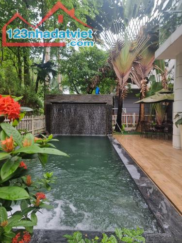 Bán gấp căn biệt thự đơn lập Flamingo Đại Lải Resort 318m2, cho thuê 8 - 10tr/ngày