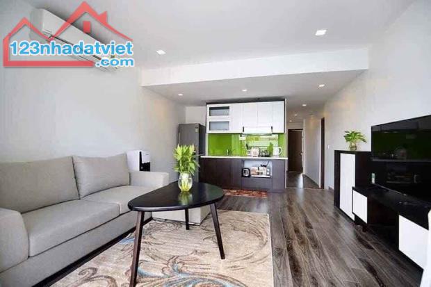 Bán nhà đẹp Nguyễn Khuyến, Đống Đa, dòng tiền 75tr/tháng, ôtô, 85mx9t, 33 tỷ, 0985696268 - 2