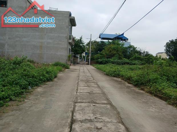 Bán đất Quang Minh, Mê Linh, Hà Nội, đường thông, ô tô vào đất, diện tích 51m, giá 1,595 t