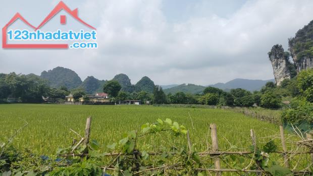Siêu rẻ đất tại Lương Sơn, Hòa Bình 3900m2, giá 5 tỷ - 1