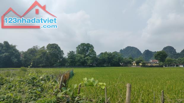 Siêu rẻ đất tại Lương Sơn, Hòa Bình 3900m2, giá 5 tỷ - 2