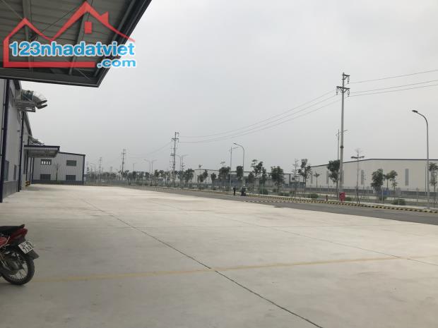Cho thuê 4.000m2 xưởng mới tại Khu công nghiệp Thuận Thành – Bắc Ninh, PCCC tự động. - 2