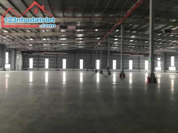 Cho thuê 4.000m2 xưởng mới tại Khu công nghiệp Thuận Thành – Bắc Ninh, PCCC tự động. - 3