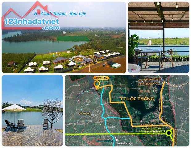 Đất Hồ Cánh Bướm - Bảo Lộc, đất ở đô thị, đối diện Olala Glamping, cụm khách sạn, homestay - 3