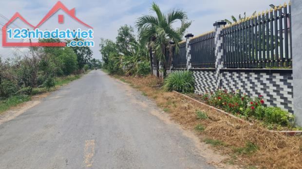 bán đất  đường  nhựa , 20x50m, xã Hòa Khánh Đông, Đức Hòa,Long An . giá 9 tỷ 500 triệu. - 2