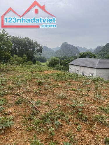 Bán đất nghỉ dưỡng Cao Dương Lương Sơn Hòa Bình 1369m2 200m thổ cư view núi non