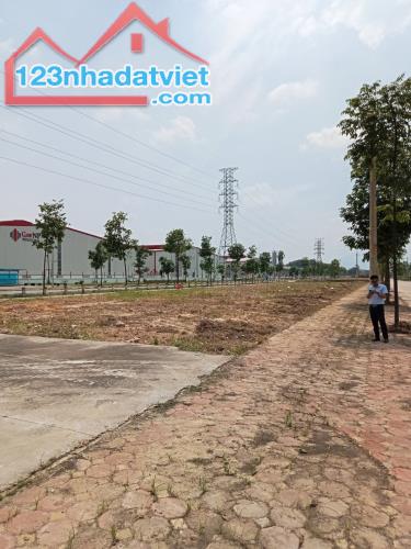 Siêu phẩm đất nền phân lô sổ đỏ từng lô tại KCN Yên Bình , TP. Phổ Yên , Thái Nguyên