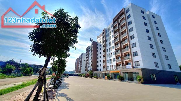 Cho thuê căn hộ đầu ve chung cư Hoàng Long Thanh Hóa 59m2, 2PN full nội thất giá 4 triệu