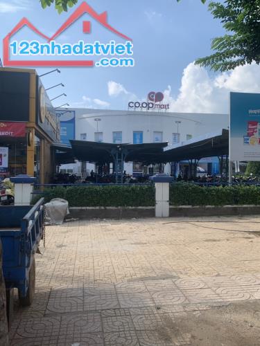 BÁN 2 MIẾNG ĐẤT THỔ VƯỜN NGAY KCN MINH HƯNG (1.020M2 GIÁ 490TR) ĐỐI DIỆN CTY, GẦN CHỢ - 3
