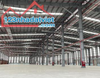 Nhà xưởng 3000m2 tại KCN Kim Thành giá 2,8Usd/m2, PCCC tiêu chuẩn