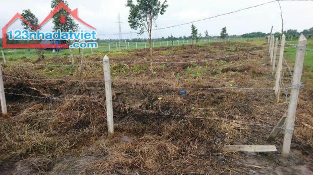 Ngân hàng thanh lý đất 2824 m2 có 824 m2 thổ cư Bình Mỹ cách vành đai 3 200m giá chỉ 7 tỉ - 1