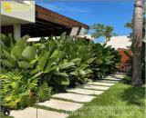 Thiết kế thi công sân vườn đẹp xanh ở HCM, Đồng Nai, BRVT
