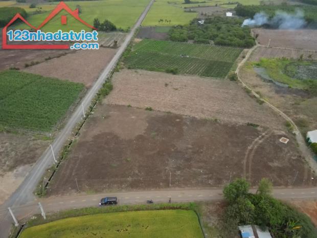 Cần bán lô đất mặt tiền đường nhựa Phước Long Thọ gần KCN 660tr