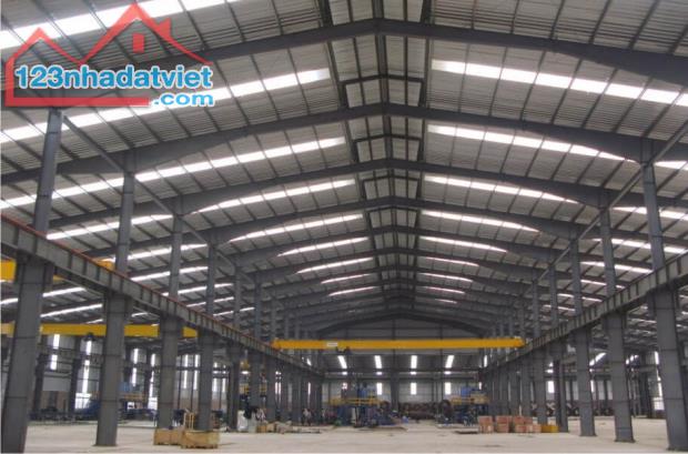 CHO THUÊ KHO XƯỞNG 19.000M2 TÂN PHÚ TRUNG, CỦ CHI, TPHCM