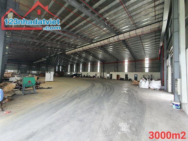 Cho thuê kho xưởng 3000m2 tại Hải Dương - 1