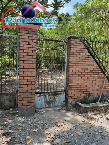 BÁN ĐẤT SỔ HỒNG RIÊNG ĐƯỜNG NHỰA DIỆN TÍCH KHỦNG 1/ TÔ KÝ , XÃ TÂN XUÂN , HÓC MÔN - 1