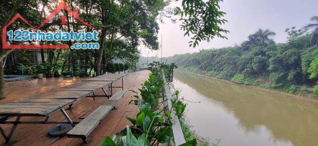 Biệt thự 4500 m2 Quang Minh, Mê Linh tìm chủ mới - 4