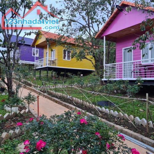 BÁN 7.100M2 KHU ĐẤT ĐARAHOA CÓ HOMESTAY, ĐỐI DIỆN KQH SÂN GOLF VÀ TRUNG TÂM THƯƠNG MẠI, GI - 2