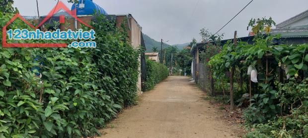 Đất nhà vườn cạnh biệt thự đẹp Hòa Phú 1.3 tỷ/306m2