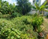 Bán đất Vườn Lài P. An Phú Đông Quận 12, Đường 6m, giá giảm còn 6.x tỷ