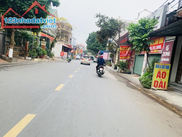 Bán 2 lô đất mặt đường 208, trung tâm thị trấn An Dương tổng diện tích 261m giá chỉ 40tr/m - 1