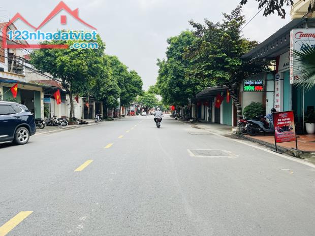 Bán 2 lô đất mặt đường 208, trung tâm thị trấn An Dương tổng diện tích 261m giá chỉ 40tr/m - 4
