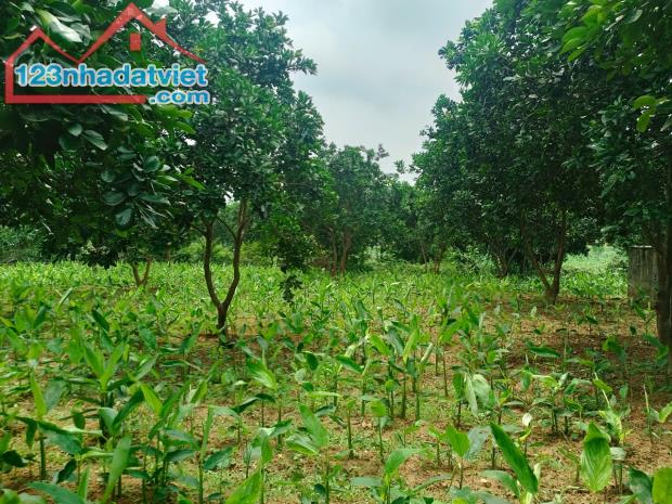 BÁN GẤP LÔ ĐẤT CÓ DT 3170m2 (400m2 ONT) CÓ SẴN NHÀ GIÁ CHỈ 1,xtr/m2 - 5
