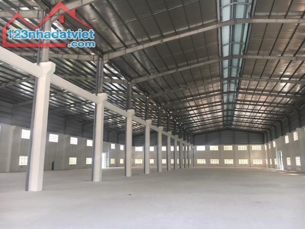 CHO THUÊ KHO XƯỞNG 10.500M2 TRONG CỤM NHÀ XƯỞNG HIỆP THÀNH, LƯƠNG BÌNH, BẾN LỨC, LONG AN - 3