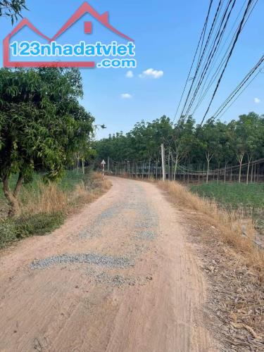 CHÍNH CHỦ Cần Bán Đất Vị Trí Đẹp Tại Xã Ninh Điền, Châu Thành, Tây Ninh - 2