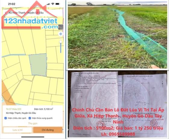 Chính chủ cần bán lô đất Lúa tại xã Hiệp Thạnh, huyện Gò Dầu, Tây Ninh; 1,25 tỷ; 096958998