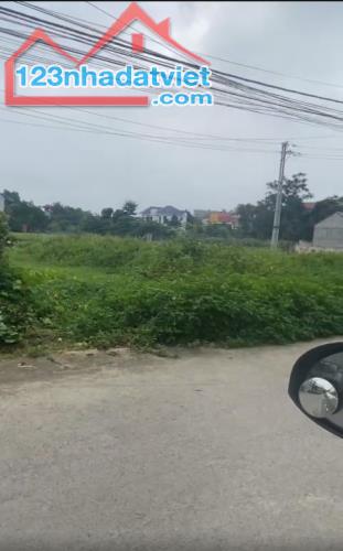 Chính chủ cần bán mảnh đất tại thị trấn Thắng, Hiệp Hoà, Bắc Giang - 1
