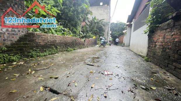 ✅Bán đất tại Lương Nỗ Tiên Dương Đông Anh gần vành đai 3 - 2