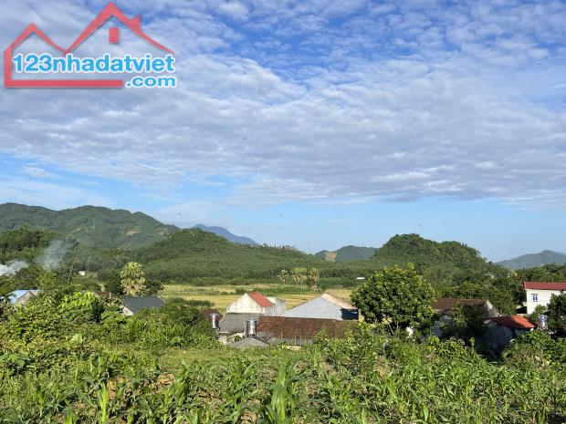 Bán đất Hương Cần Thanh Sơn, 771m2 giá chỉ 650 triệu, view đẹp, cách chợ và quốc lộ 1km - 1