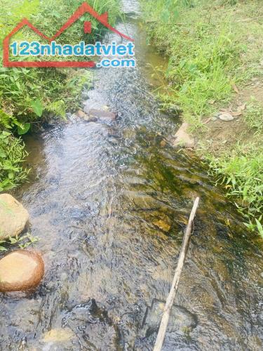 Bán đất vườn Khánh Thượng giá rẻ giáp suối chảy quanh năm - 2