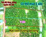 Nghĩ dưỡng cho các cụ giá tại thành phố Gia Nghĩa - Đồng quê bình yên tại Đắk Nông