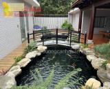 Thiết kế hồ cá Koi sân vườn đẹp chuẩn ở Đồng Nai, HCM