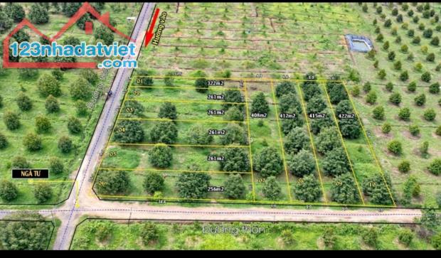 Chủ ra đất ngộp 2300m2 đất vườn sẵn cây sầu riêng