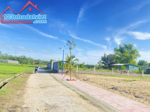 Đất nền Tam Kỳ ngay Đoạn Khu Phố chợ Trường Xuân vào 400m -View Cánh Đồng -Đã Có Sổ - 2